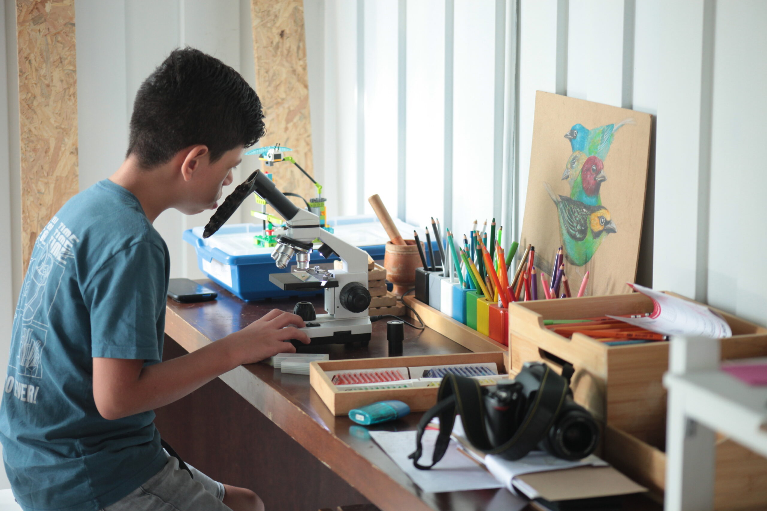 Estudiante observa una muestra en un microscopio, rodeado de materiales de ciencia y arte.